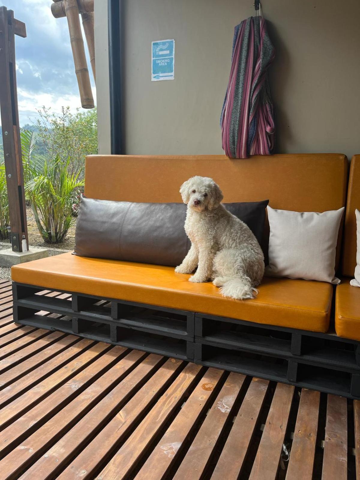 Casa Mochila Hostel ซาเลนโต ภายนอก รูปภาพ